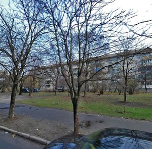 Mykoly Vasylenka Street, 25, Kyiv: photo