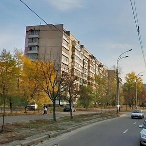 Heroiv Stalinhrada Avenue, 42, Kyiv: photo