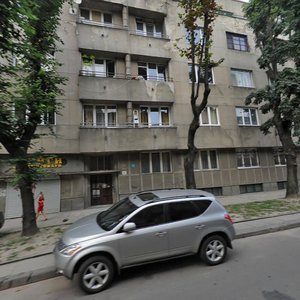 Vulytsia Kostiantyna Levytskoho, 25 ، لفيف: صورة