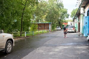Ulitsa Pushkina, 183/7 ، : صورة