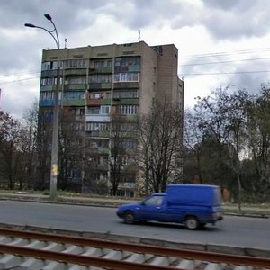 Liubomyra Huzara Avenue, 19, Kyiv: photo