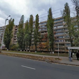 Yakuba Kolasa Street, 23, Kyiv: photo