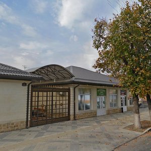Mitrofana Sedina Street, 79, : foto