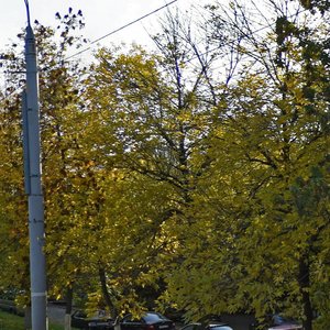 Karla Marksa Street, 271, : foto