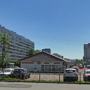 Ushinskogo Street, 12А, Saint Petersburg: photo