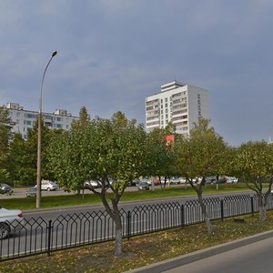 Mira Avenue, 65 ، نابريجني تشيلني: صورة