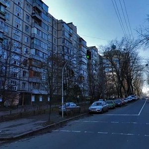 Parkovo-Syretska Street, 21, Kyiv: photo