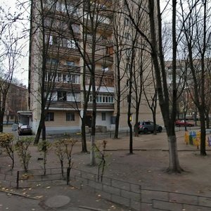 Maksyma Kryvonosa Street, 7, Kyiv: photo