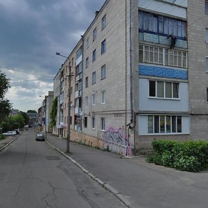 Vulytsia Stepana Vasylchenka, 3, : foto