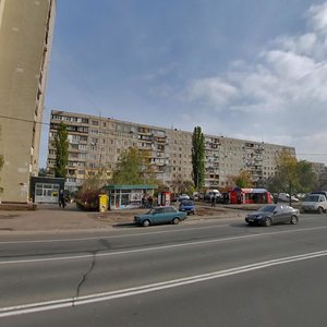 Dniprovska Embankment, 9, Kyiv: photo