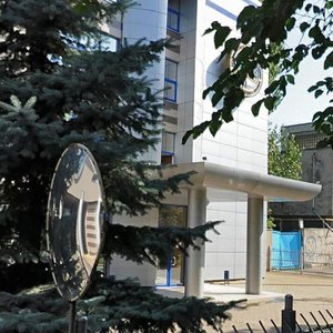 Vulytsia Didrikhsona, 8, : foto
