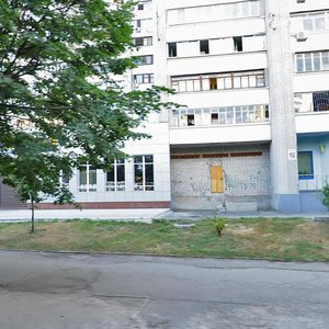 Robocha Street, 152, Dnipro: photo