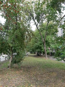 Domenshchikov Street, 1, Magnitogorsk: photo