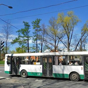 Петергоф, Санкт-Петербургский проспект, 5: фото