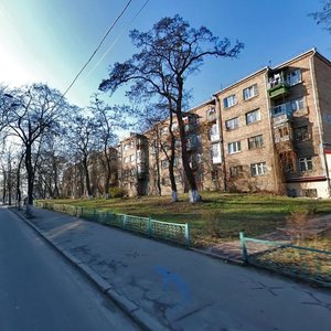 Simi Khokhlovykh Street, 2/20, Kyiv: photo