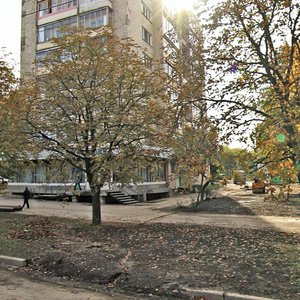 Galadzieda Street, 41, Minsk: photo