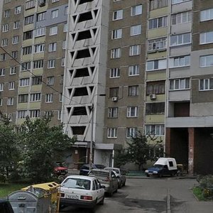 Akademika Zabolotnoho Street, 58, Kyiv: photo