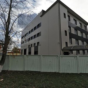 Zheleznodorozhnaya Street, 40 ، : صورة