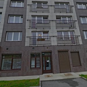 Belinskogo Street, 7Б, Petrozavodsk: photo