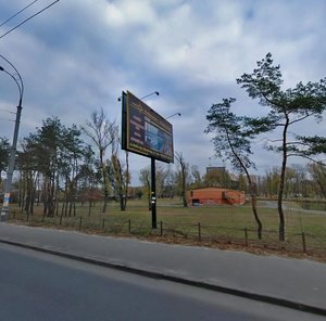 Vyzvolyteliv Avenue, 8А, Kyiv: photo