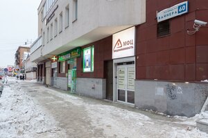 Vaynera Street, 60, Yekaterinburg: photo