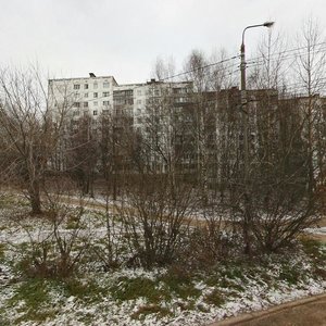 Gagarina Avenue, 224, Nizhny Novgorod: photo