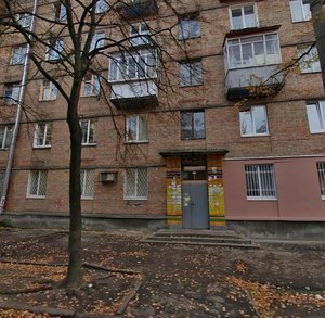 Adama Mitskevycha Street, 10, Kyiv: photo