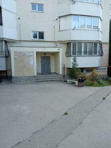 Generala Ostryakova Avenue, 250Б, : foto