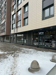 Novolitovskaya Street, 10, : foto