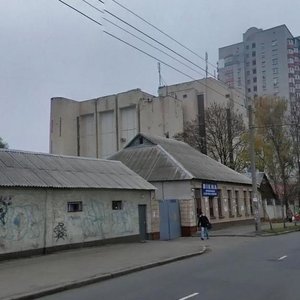 Mykoly Holeho Street, 18, Kyiv: photo