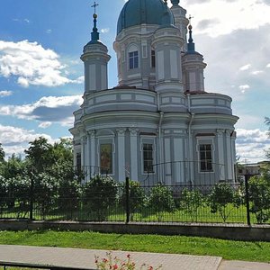 Кингисепп, Улица Николаева, 6: фото