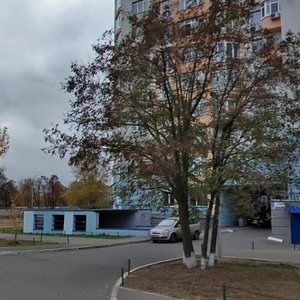 Marshala Konieva Street, 5/60 ، كييف: صورة