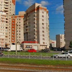 Staroderevenskaya Street, 33/10, Saint Petersburg: photo