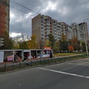 Poliarna Street, 6Б, Kyiv: photo