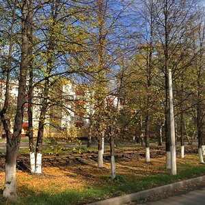 Stroiteley Avenue, 26, : foto