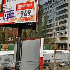 Druzhby Narodiv Boulevard, 1, Kyiv: photo