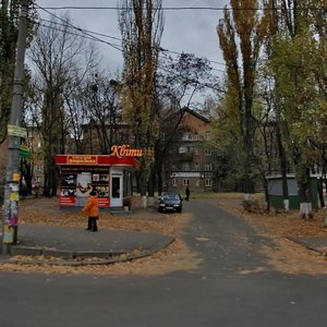 Liubomyra Huzara Avenue, 40, Kyiv: photo