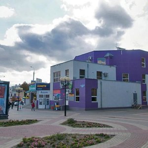 50-letiya Belgorodskoy oblasti Street, 19, Belgorod: photo