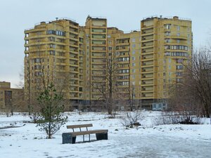 Санкт‑Петербург, Двинская улица, 8к3: фото