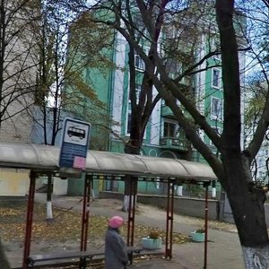 Yuriia Illienka Street, No:75, Kiev: Fotoğraflar