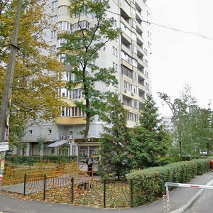 Mykhaila Kotelnykova Street, 31, Kyiv: photo