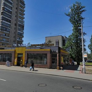 Bryusovskaya Street, 3, Saint Petersburg: photo
