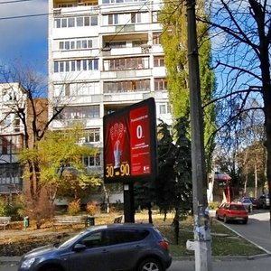 Sichovykh Striltsiv Street, 28А ، كييف: صورة