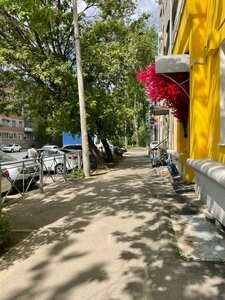 Mazita Gafuri Street, 5, Kazan: photo