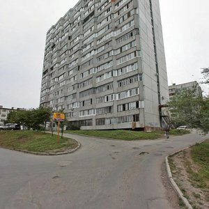 Okeanskiy Avenue, 109 ، فلاديفوستوك: صورة