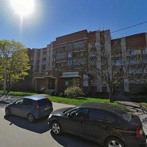 Zverinskaya Street, 11, Peterhof: photo