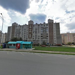 Vulytsia Hrushevskoho, 15А, Brovary: photo