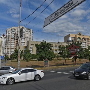 Heroiv Stalinhrada Avenue, 18, Kyiv: photo