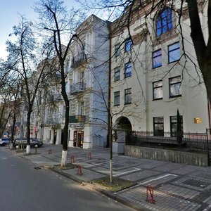 Киев, Пушкинская улица, 8: фото