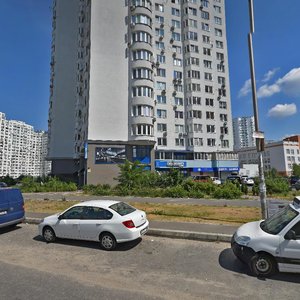 Yelyzavety Chavdar Street, 7, Kyiv: photo